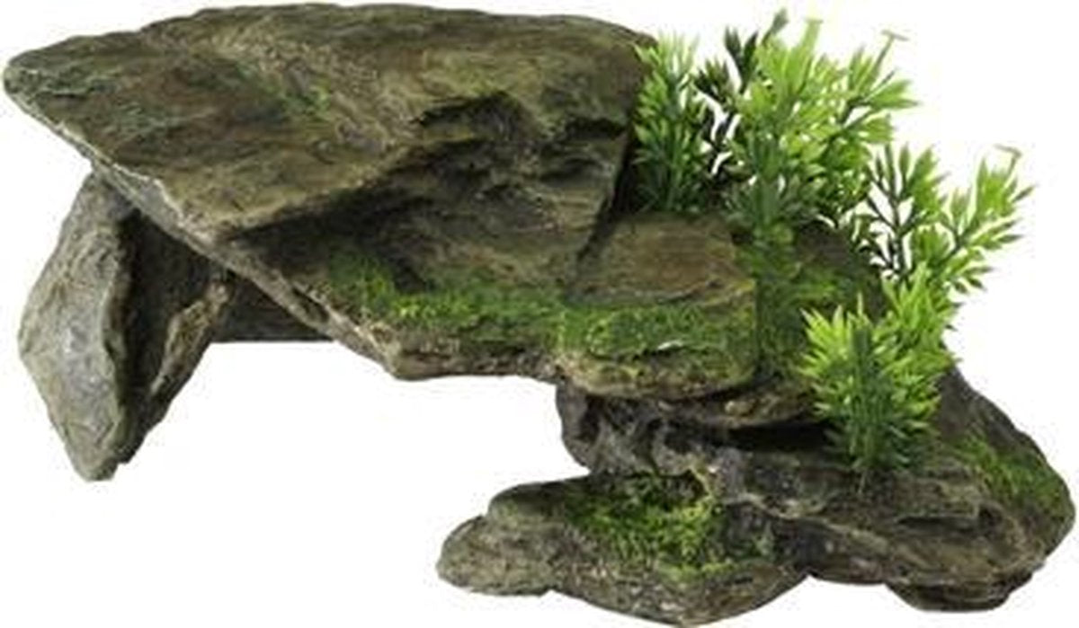 Mopani Wood 2 39