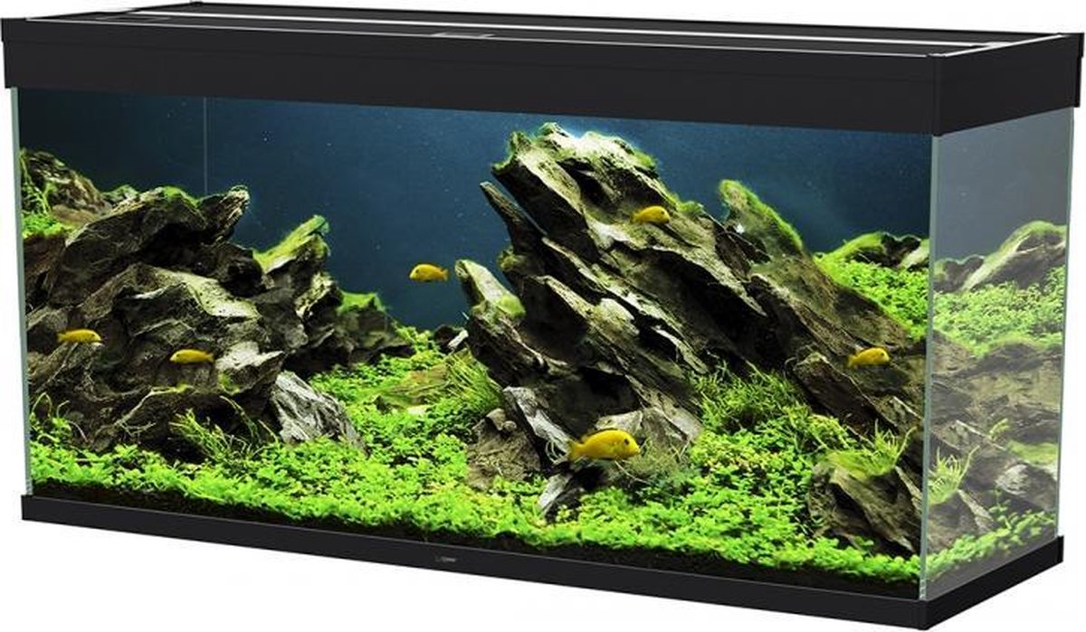 Ciano Aquarium emotions nature pro 120 Zwart 121
