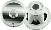 Audiopipe 10" 600 Watt marine subwoofer