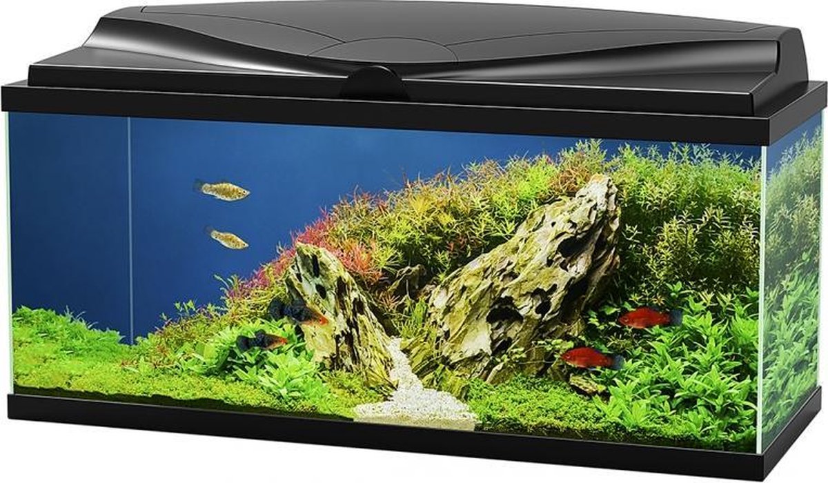 Ciano Aquarium aqua 80 led bio cf150 Zwart 80x30x41