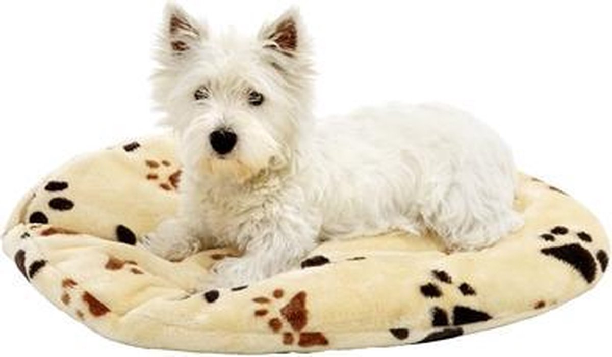 Cushion