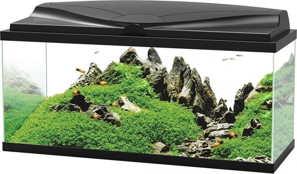 Ciano Aquarium 80 led cf80 Zwart 80x30x41