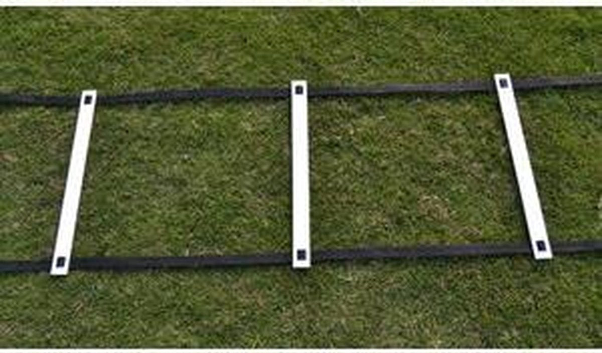 Taktisport Loopladder 8m - Voetbal - 8 meter lang - Verstelbaar - Met draagtas