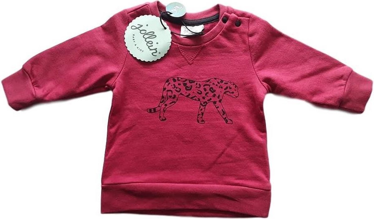 Babykledingenzo Jollein trui Leopard
