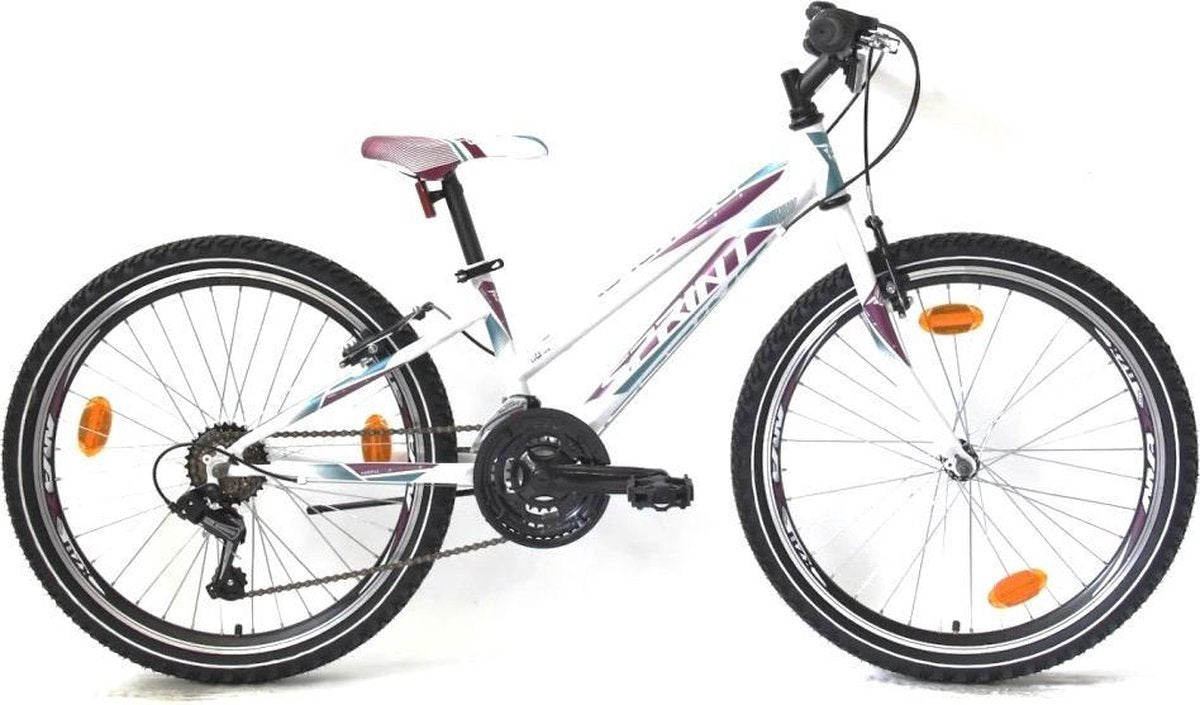 MTB CALYPSO 24x440 BK21SI0731 Rij5