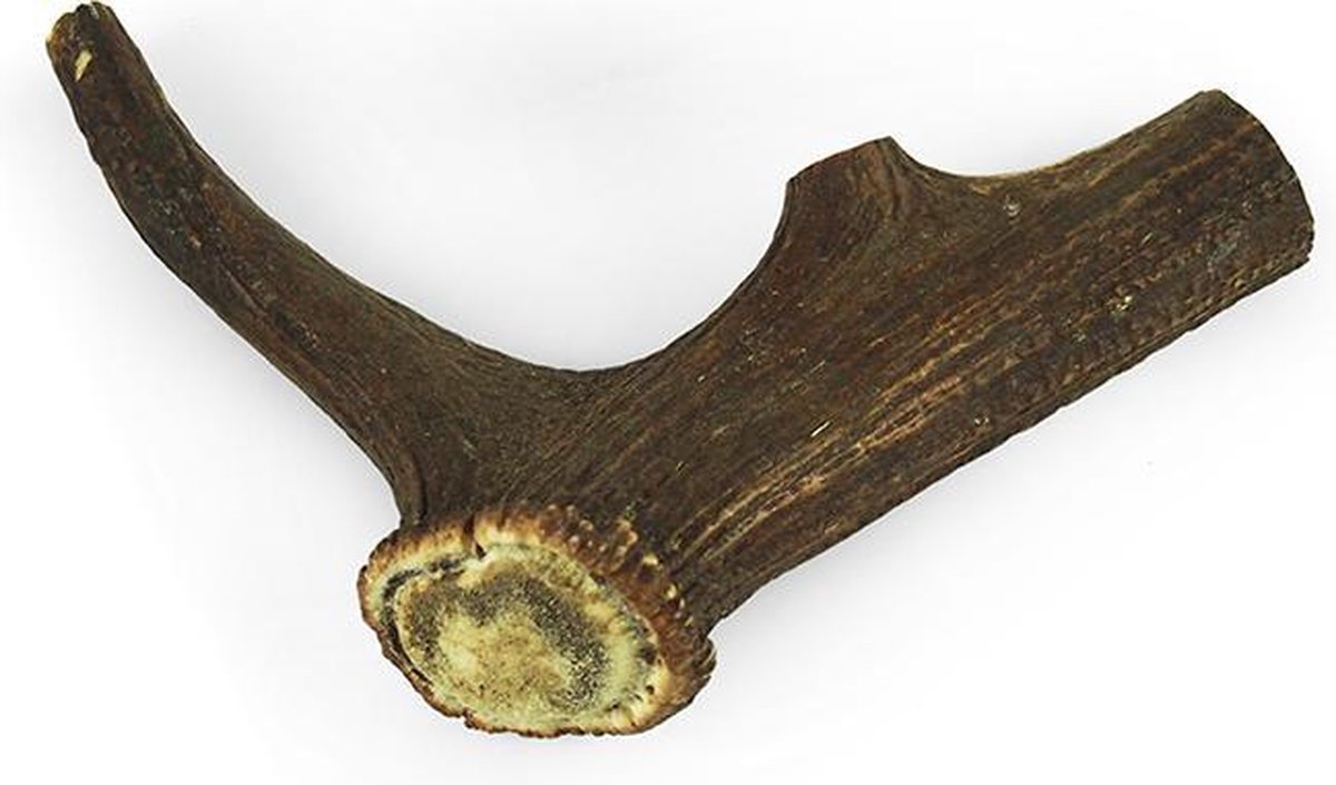 Herten Gewei Hondensnack - XL - 223 g