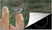 Luxe inductie beschermer Vogels op hek - 85x52 cm - Twee mussen zitten samen op houten hek  - inductiebeschermer