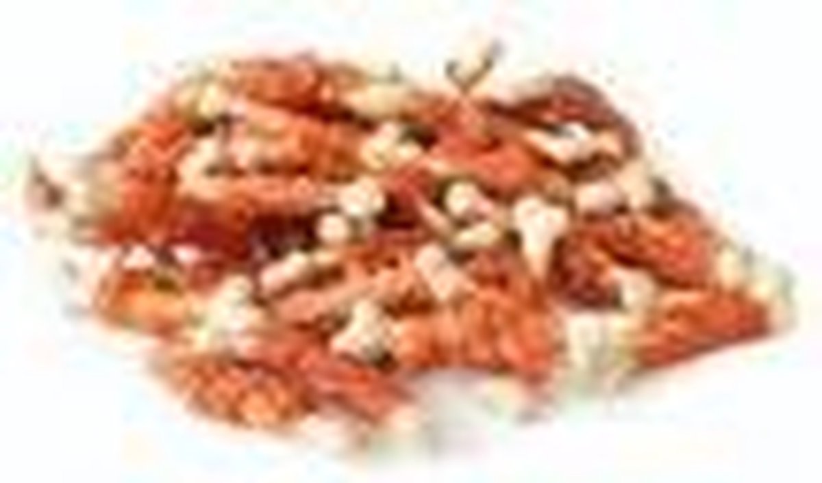Kip met calciumbotje -Animal King- 10 x 100 gram-hondensnack kip