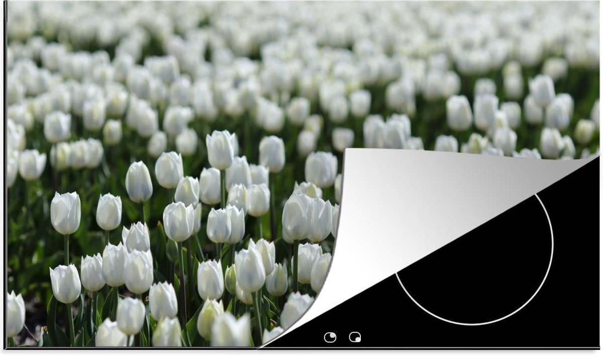 Luxe inductie beschermer Witte tulpen - 85x52 cm - gebied van witte tulpen in lente  - inductiebeschermer