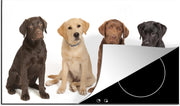 Luxe inductie beschermer Labrador Retriever - 85x52 cm verschillende kleuren Labrador Retriever pups  - inductiebeschermer