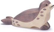 Sea Lion head low