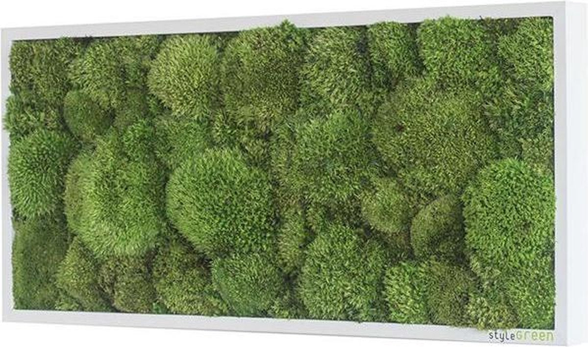Stylegreen Verticale tuin - Pole moss - 57 x 27 cm