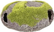 Aquarium decoratie Kozma steen + mos - 15 x 12 x 7 cm