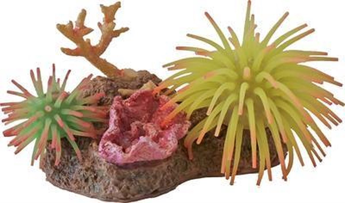 Boon 2 Siliconenbloemen Met Rots En Schelp 13 CM