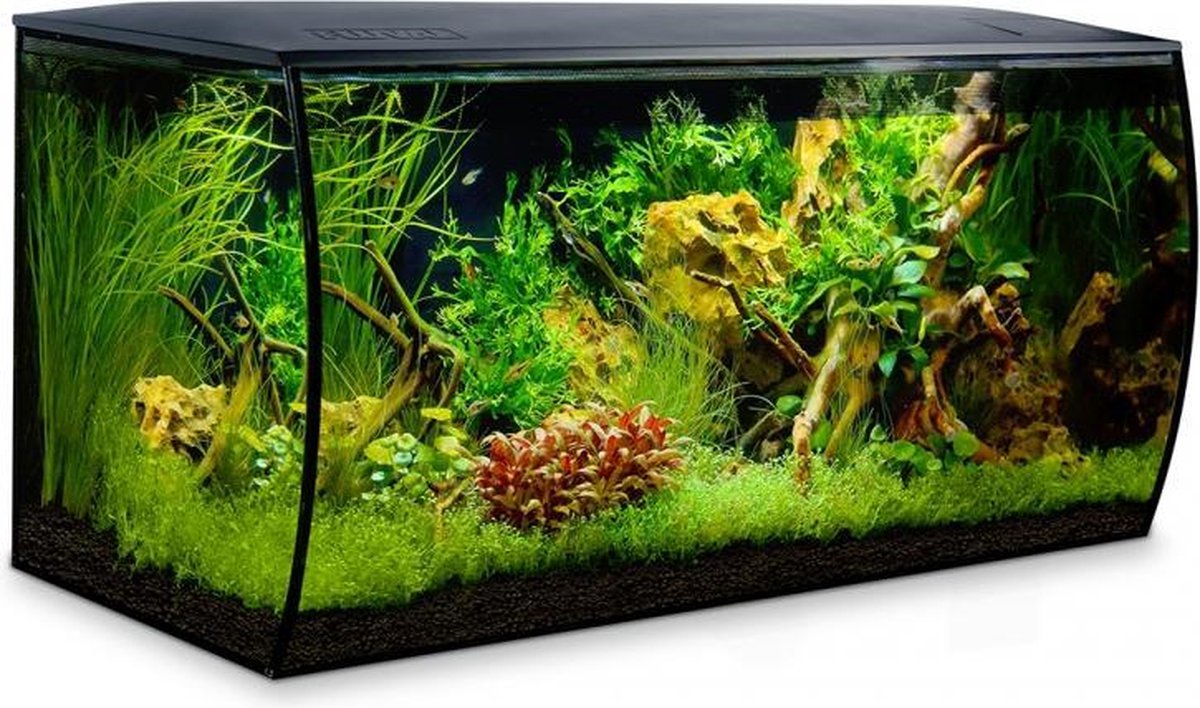 Fluval flex aquarium zoetwaterkit Zwart 123L