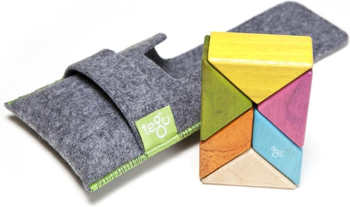 6 Piece Tegu Pocket Pouch Prism Magnetic Wooden Block Set Tints