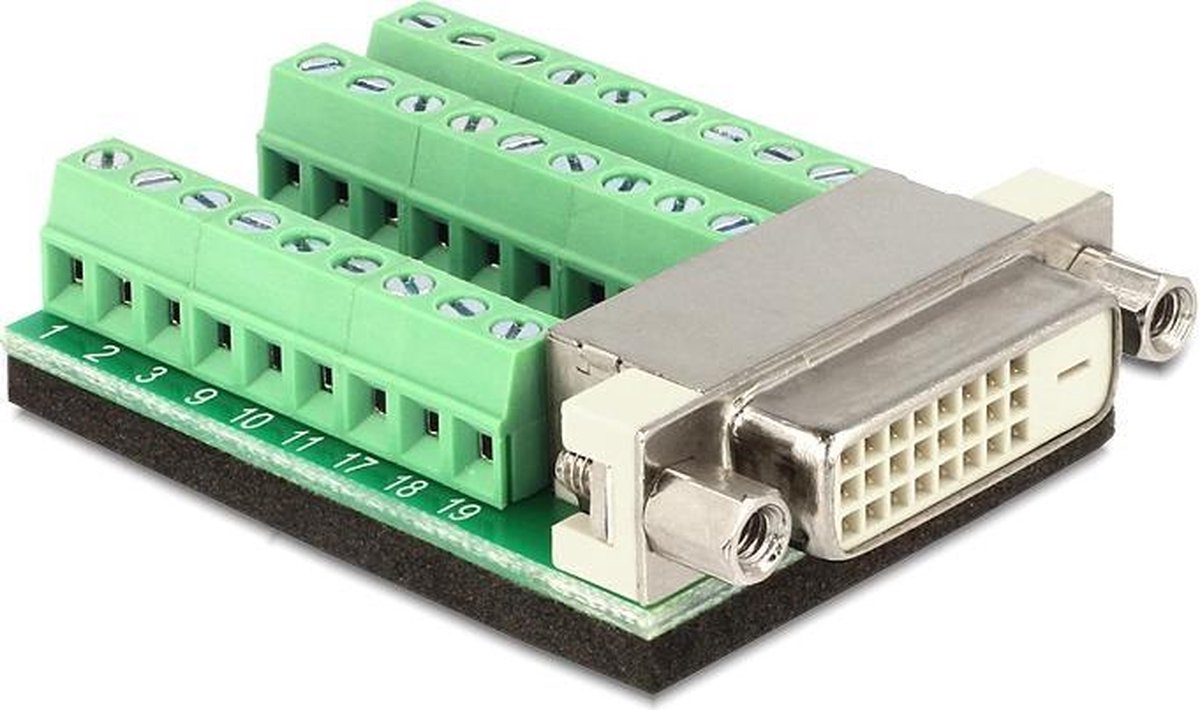 Delock - Adapter DVI 24 Buchse - Terminalblock 27pin