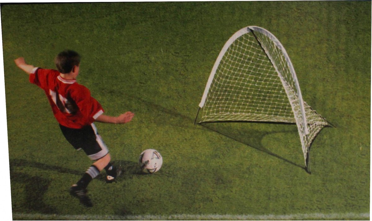 FRANKLIN 5770 FAST GOAL PLUS