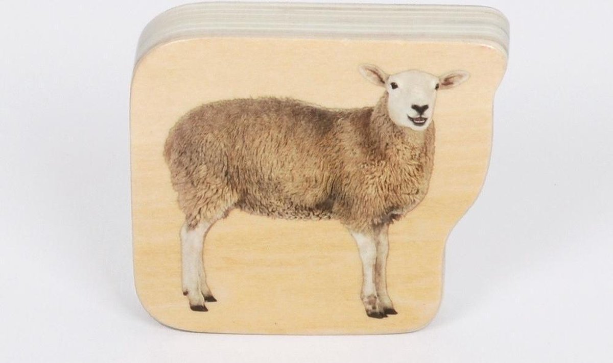 Houten Boerderij Blokken - Set van 25
