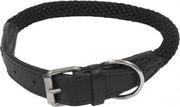 Dog collar Forest