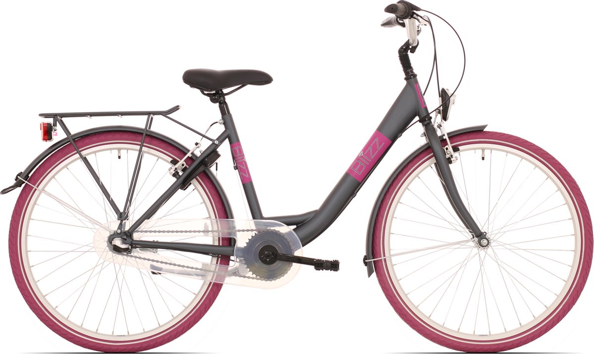 Kinderfiets Bike Fun Blizz meisjes 26 inch nexus 3 matt antraciet