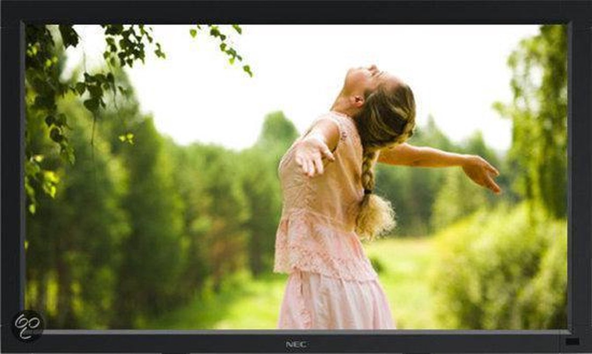 NEC MultiSync LCD V421 - Monitor