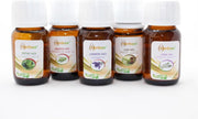 Herbax Etherische Oliën Set - 100 % Puur - Lavendel / Rozemarijn / Pijnboom / Tijm /  Laurier - 5 X 20 ml.