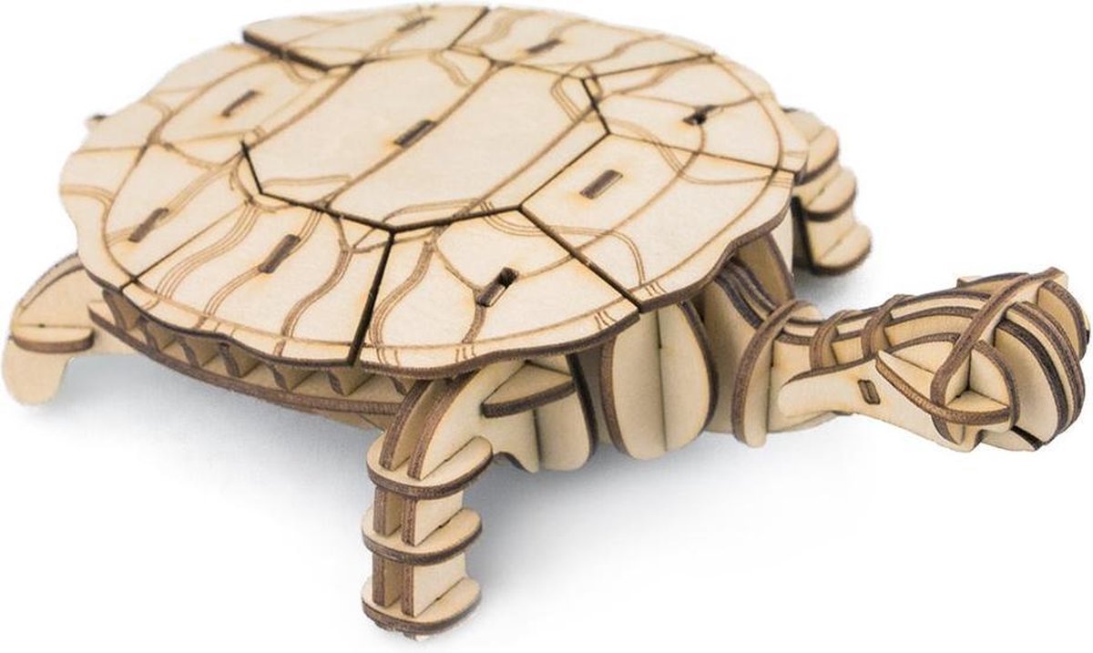 Schildpad houten bouwpakket