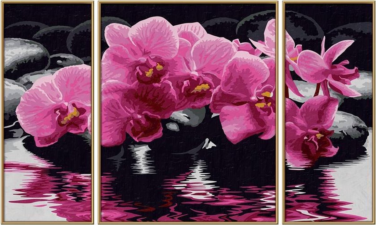 Schipper Orchidee�n Schilder Kit