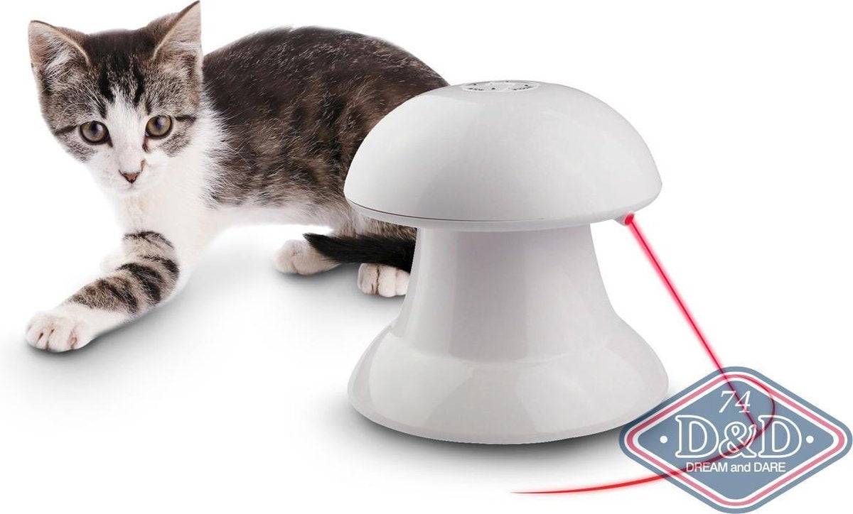 LAZER PET ADVENTURE