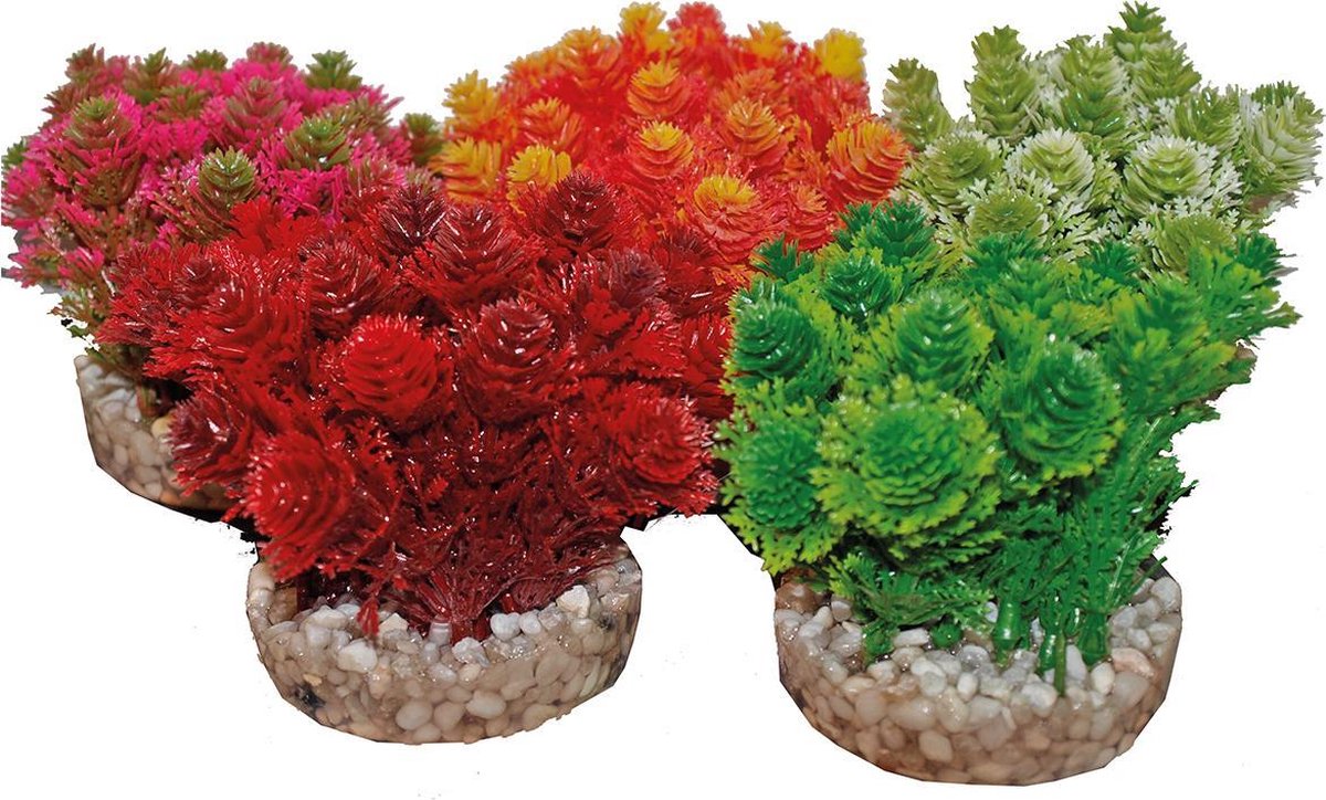 Kp grass bush 8 cm 350155