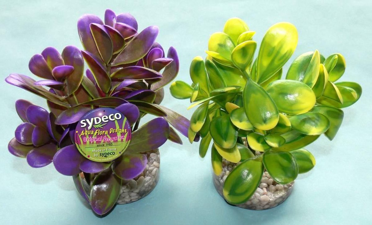 Sydeco peeble plant 14CM