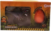 World Of Dinosaurs Verrassingsei Acusaurus Junior 21 X 12 Cm 3-delig