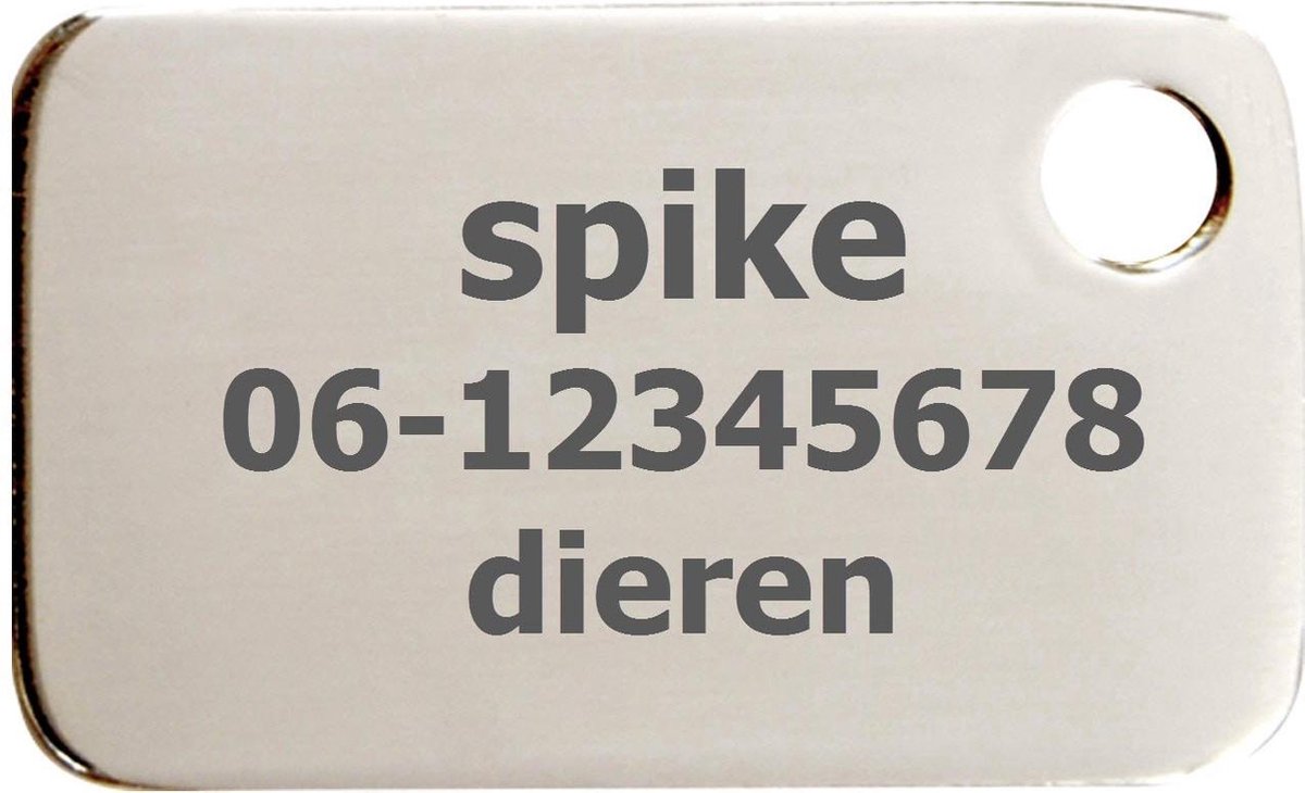 Keltora Penning Rechthoek Medium