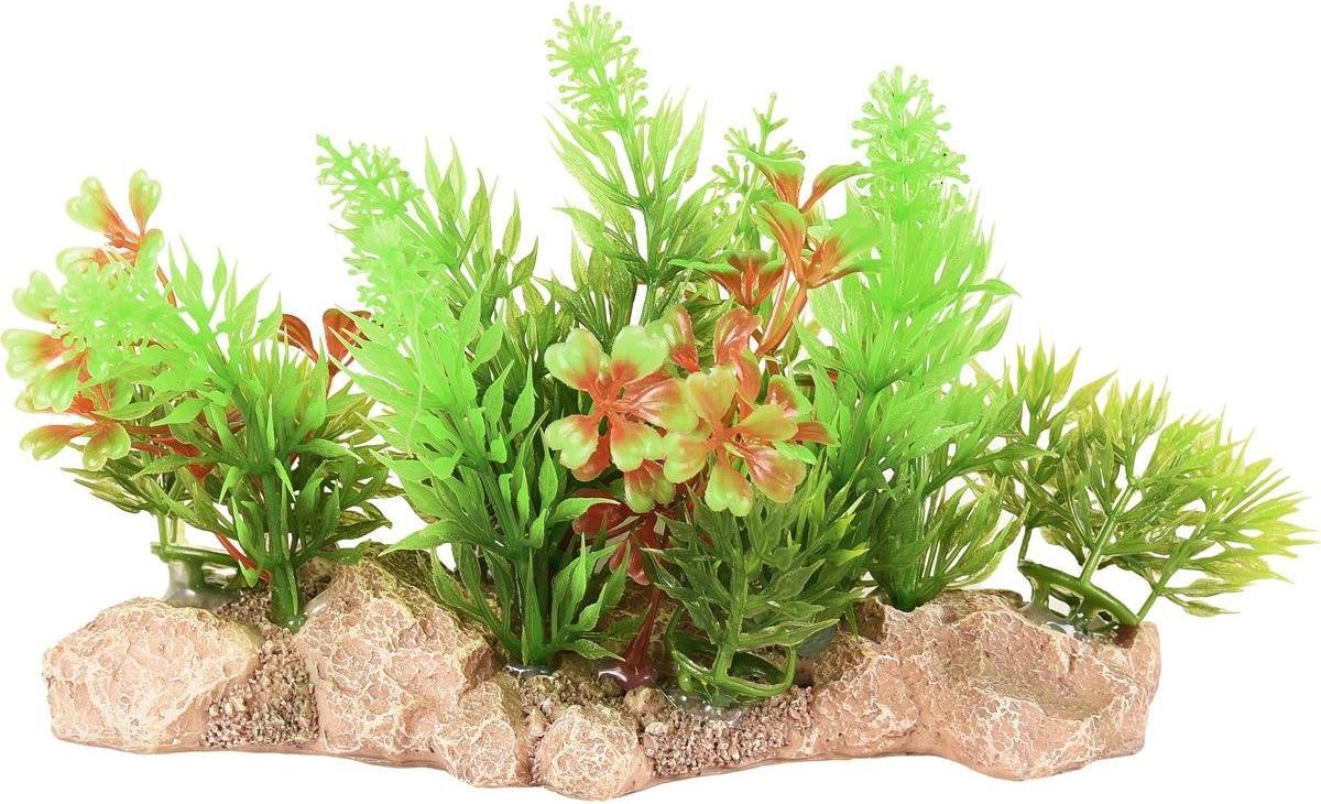 Aquarium Umbra plant - Groen - 15 x 7 x 10 cm