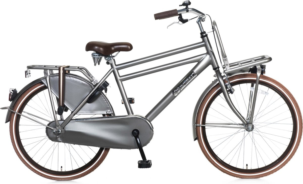 Popal Daily Dutch Basic Kinderfiets - 24 inch - Grijs
