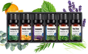 Vevue - 6 Etherische Oliën - 100% Puur en Natuurlijk - Geschikt voor Aroma Diffuser - Essentiële Olie Set - Aromatherapie - Etherische Olie voor Aroma Diffuser - Etherische Olie Set - Etherische Olie - 10ML - Essentiële Olie - Geurolie - Aroma Olie