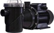 Zwembadpomp zelfaanzuigend P-XPERT 6 230V 9300 l/uur