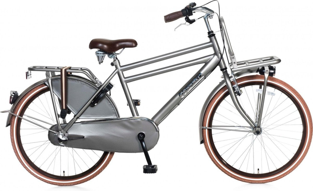 Popal Daily Dutch Basic+ Kinderfiets - 24 inch - 3 versnellingen - Grijs