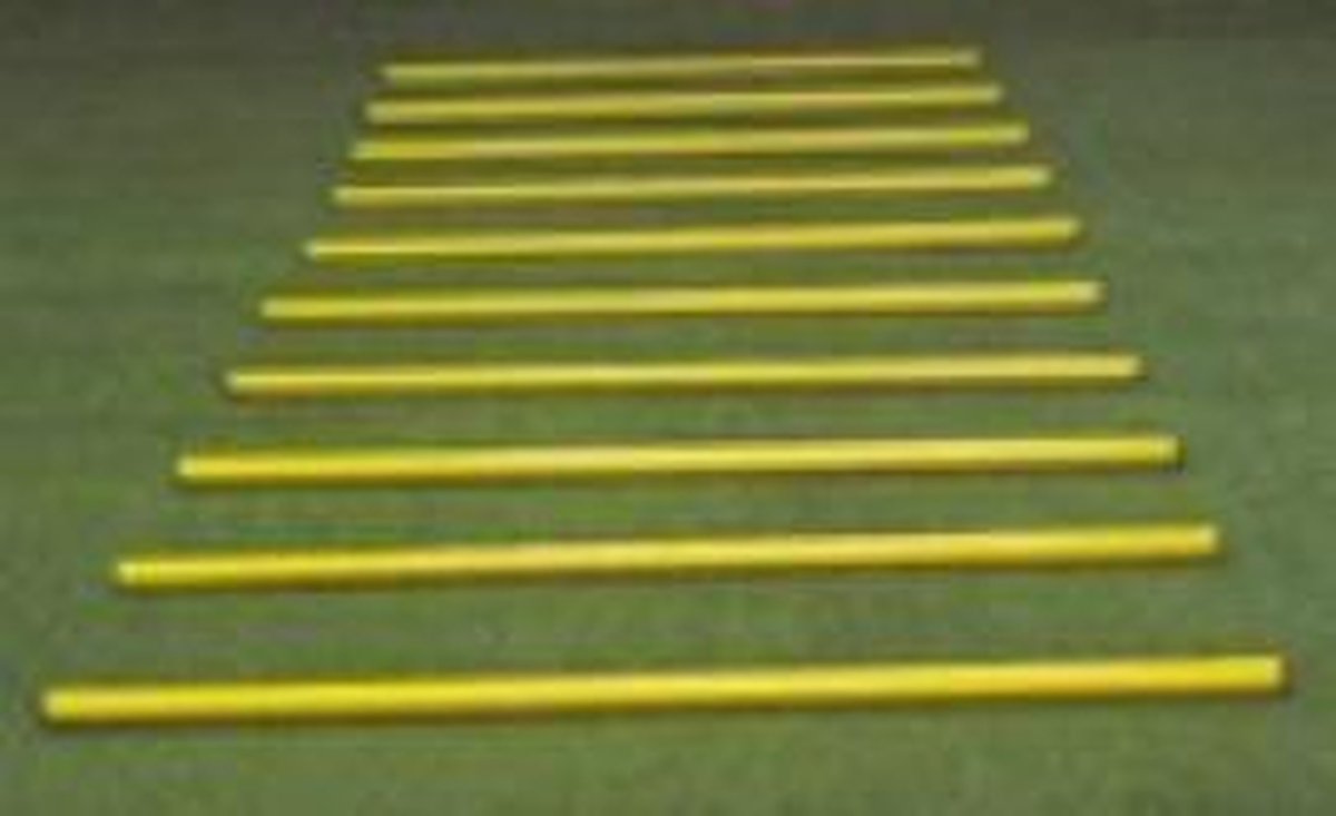 Trainingstokken of Trainingsstangen - Voetbaltrainer - 1