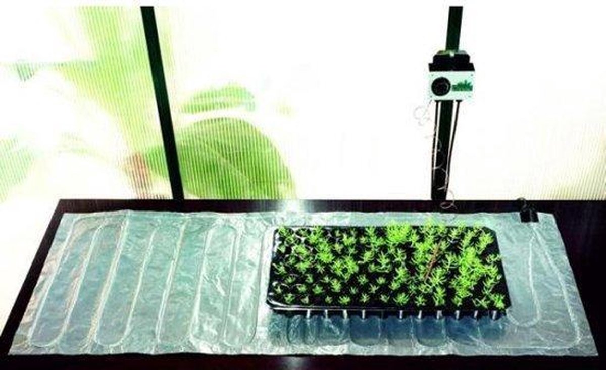 Biogreen