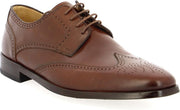 Ambiorix Fenton Bruin 40