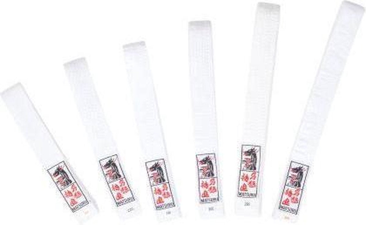 Budo Band Wit - 260 cm