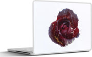 Laptop sticker - 10.1 inch - Afbeelding van een roodlof