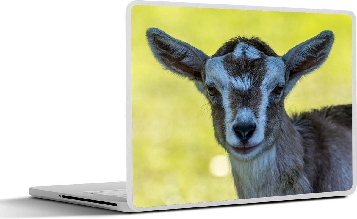 Laptop sticker - 10.1 inch -  een baby geit