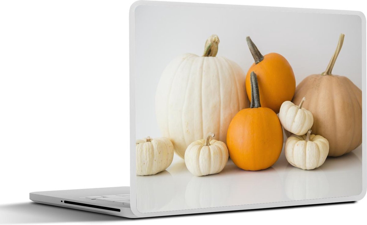 Laptop sticker - 10.1 inch - Afbeelding van verschillende kleuren pompoenen