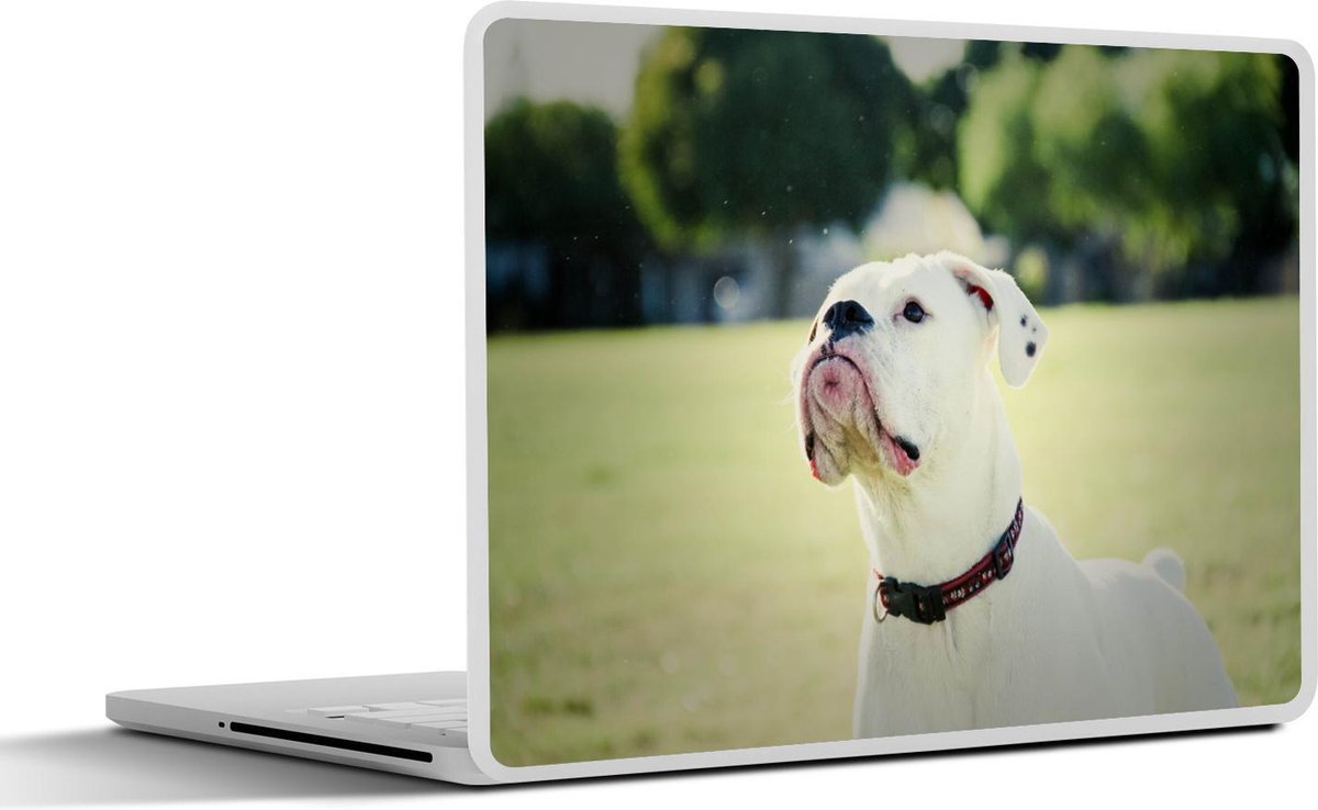 Laptop sticker - 10.1 inch - Amerikaanse buldog kijkt naar zijn baasje