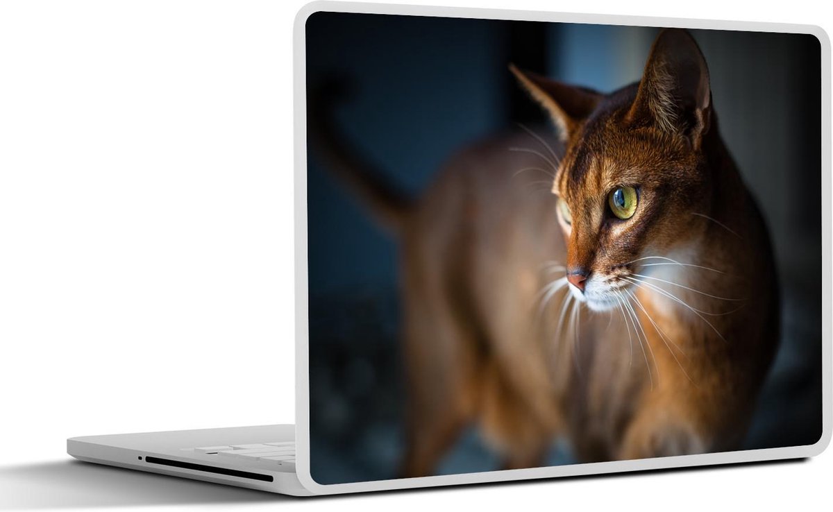 Laptop sticker - 10.1 inch - Abessijn kat van dichtbij
