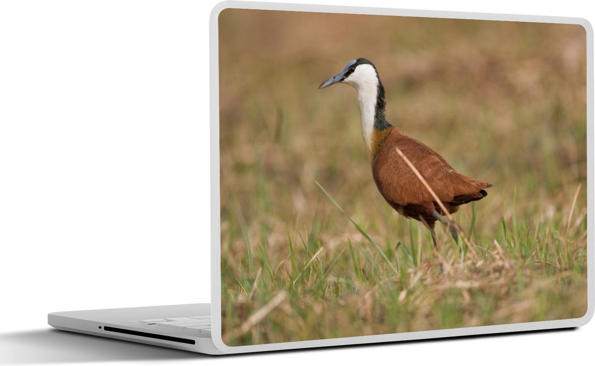 Laptop sticker - 10.1 inch - Afrikaanse jacana of lotusvogel in de droge natuur van Afrika