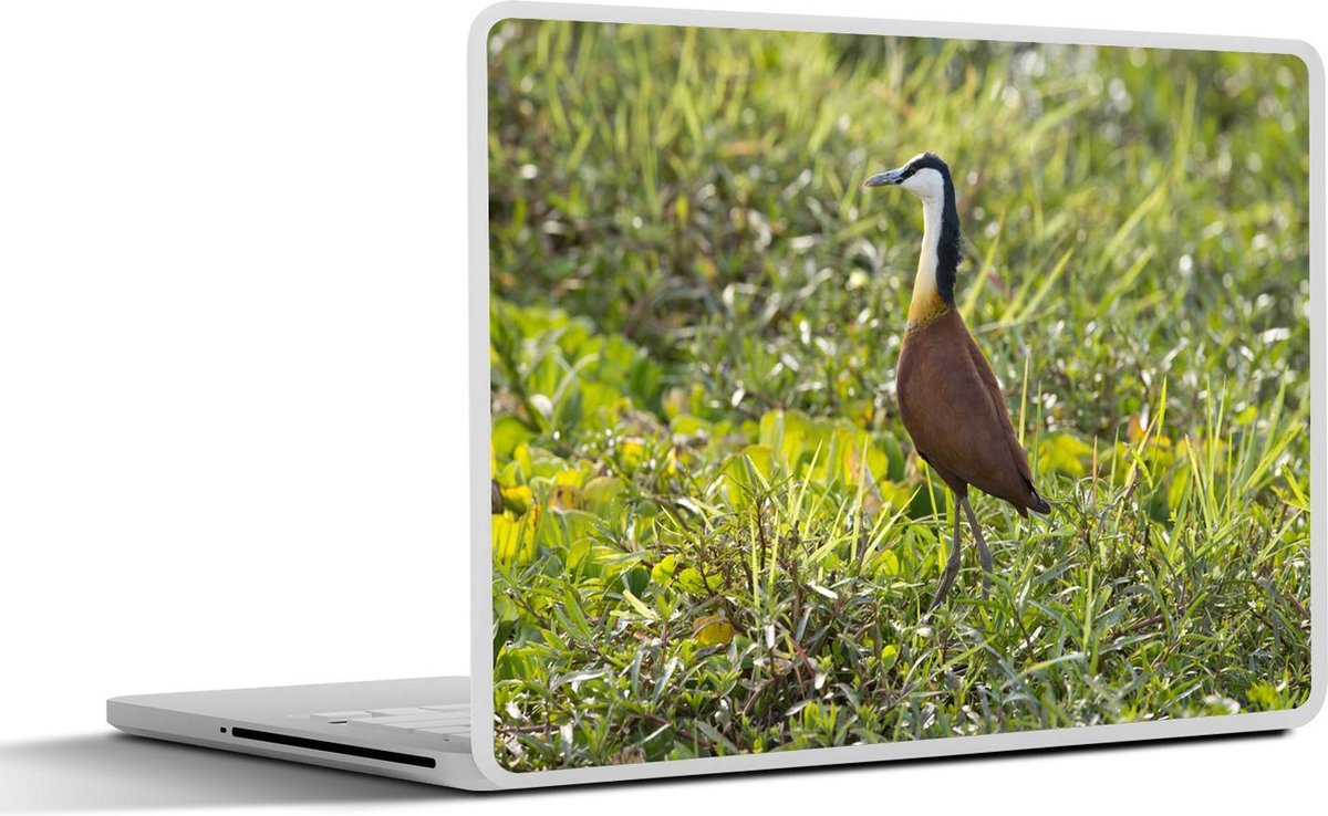 Laptop sticker - 10.1 inch - Afrikaanse jacana kijkt over de natuur uit